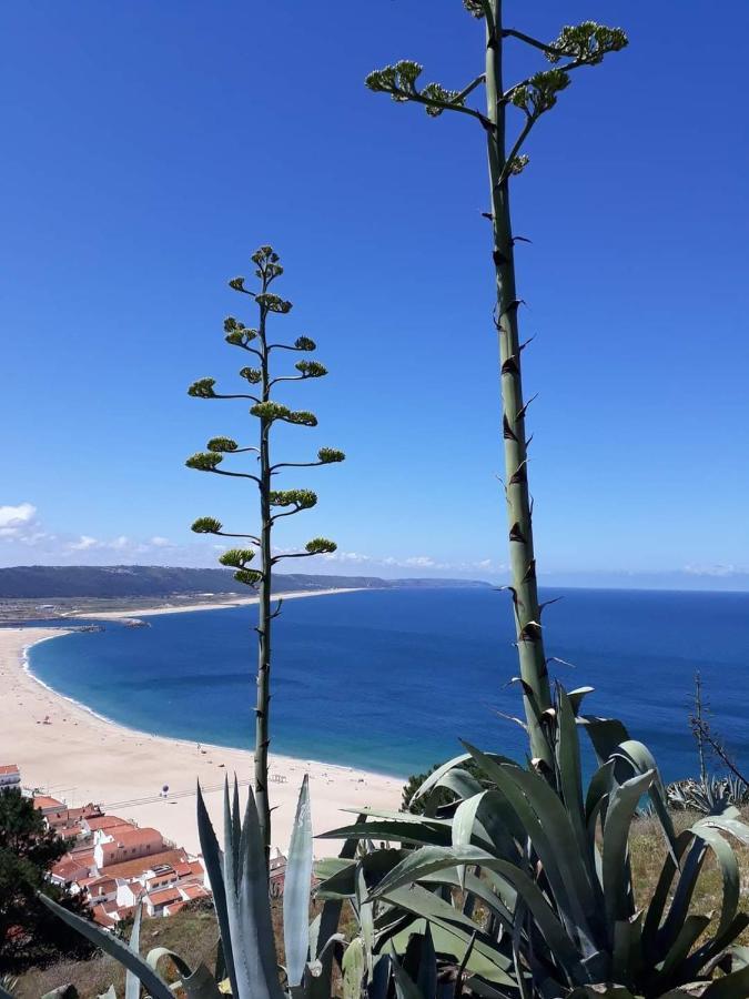 נאזרה Refugio Villa Mar מראה חיצוני תמונה